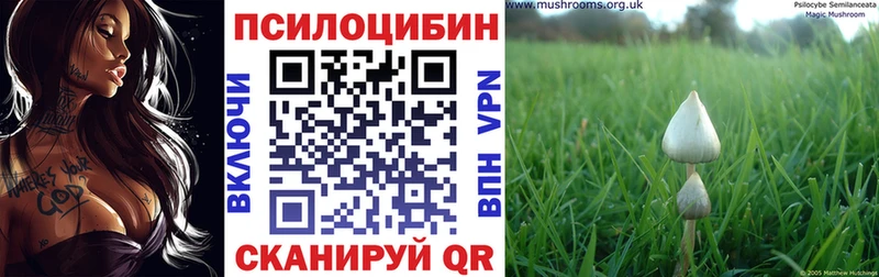 Галлюциногенные грибы Cubensis  где продают   Казань 
